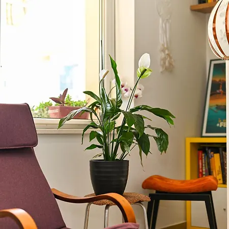 Apartman Mares *